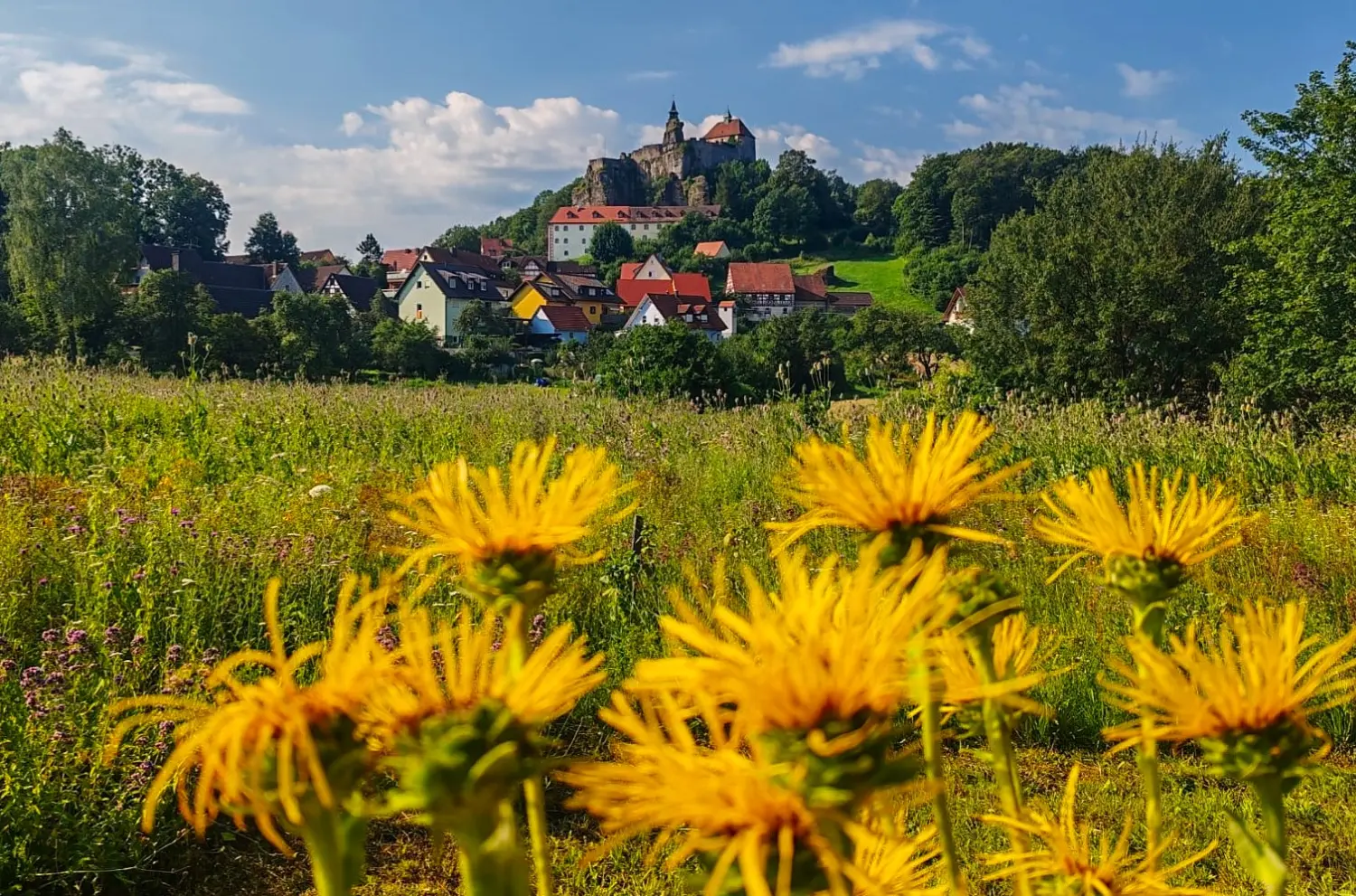 InBalance- Blumenfeld und Häuser und Schloss in der Umgebung